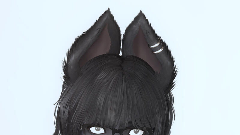 Ears